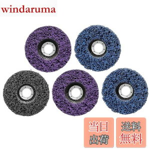 【送料無料】STEBRUAM クリーニング 研磨 ディスク 125mm 5個セット サビ クリーニング DIY木材 塗装ペイント除去 研削金属 サンダー ペンキ ディスクグラインダー 研磨パッド グラインダー(2枚プ