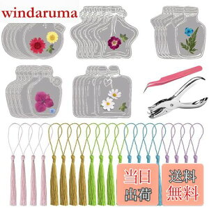 DELUXEFOX Lbg 20Zbg hCt[̂   ԃLbg    ubN}[N  {g AW{  蒠p Ǐp[gp DIY