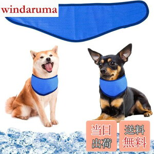 pN[o_i N[lbN p⊴O ybgpp pN[XJ[t p^I ybgp⊴ pXJ[t {[_[ ΍ObY ₷ y ߉\ 