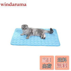 yzYFFSFDC ybg Ђ}bg  L N[}bg 40×50cm  Ђ p }bg  M M΍ ڐG⊴ p Lp xbh ObY (u[)