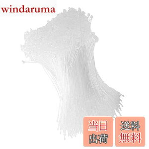 yzDFsucces ^Ot@Xi[ [vbN 1000{ lD ɕ֗ [vs vX`bN Xܗp e[v  ^O Ɩp mp (, 18cm)