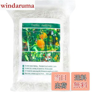 yzDERAYEE |lbg |pgl 1.67m×c5m 15cmԖ iq A