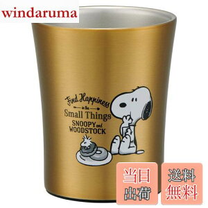 yzXP[^[ (skater) XeX ^u[ 250ml Xk[s[ 21 s[ibc STB2N-A