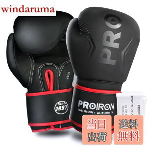 �y���������zPROIRON �{�N�V���O�O���[�u 12oz �{�N�V���O�p�O���[�u �p���`���O�O���[�u ���� �ϋv�������� ���K boxing gloves �����e�i���X�o�b�O�t�� 1�N�Ԃ̕ۏ�