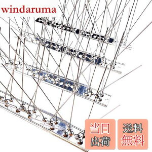 yzONESORA  悯 100%XeX o[hs ϋv y 3mz 悯 XpCN 悯 R LhS JX悯 ̃tQ΍  x_ J[|[g  Ԍ A