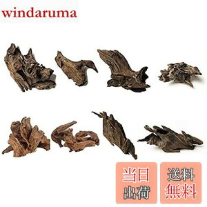 yz8 كVN R GCuؐ̑ i 8`10cmj