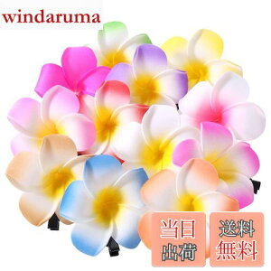 yzFrcolor  wAs wANbv  vA wAANZT[ wANbv nC  wbhhX 6cm 12F 24Zbg