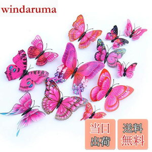 yzULIN  3D  EH[XebJ[ ǎV[  ʃe[v V[ rO ① CeA ǃV[  킢 EH[y[p[ |X^[ p[v