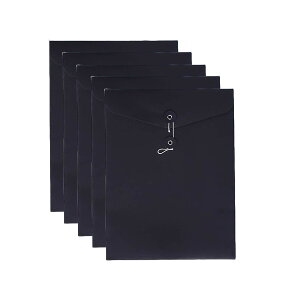 【送料無料】VANRA クラフトファイルバッグ 個別フォルダー 大容量 ファイルケース 紐付き 封筒 紙袋 A4レターサイズ 5枚セット