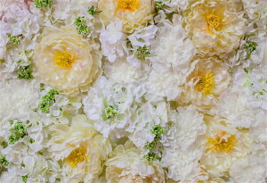 �y���������zqingrenjie-kuantu-2(vinyl)