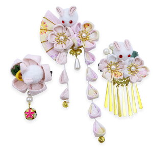 yz[JZOON]  3_Zbg l ܎O    U a ܂ݍ׍H  Ǝ  lC a wA[ANZT[ 񂴂 [ w \ t 