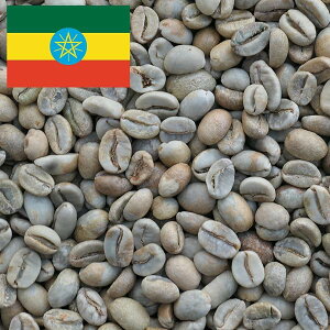 yzyG`IsA(J) QCV Qi_ G-3 i`zR[q[ XyVeBR[q[ heima store