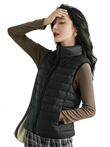 yzMDMYXJP _ExXg fB[X EgCg g h y pt@[xXg RpNg[ MD106 (S, ubN)