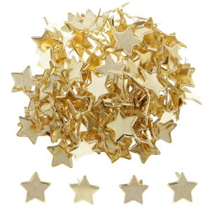 yzXXXLION s 100 s e e ߋ ȒPɋȂĎg ߂͂ ~js t@C J[h Œp ސ  DIY ANZT[iS[hj