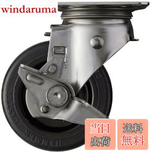 �y���������z�n���}�[�L���X�^�[(Hammer Caster) �X�e�����X���v���[�g�� �L���X�^�[ ���� �T�C�h�X�g�b�p�[�t �ԗ֌a100mm �S���ԗ� S�V���[�Y 313S-RBU100