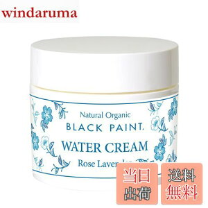 【送料無料】ブラックペイント 【保湿クリーム】ウォータークリーム ローズラベンダー 80g 天然 ミネラル30元素 化粧下地 夜はミネラルパックに 大容量タイプ