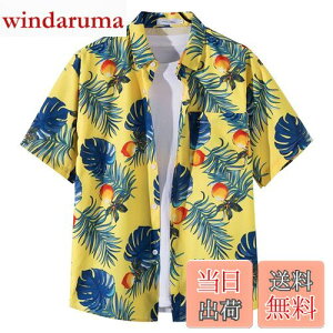 yz[Moerstar] AnVc Y 傫TCY AnVc fB[X J݃Vc  Vc Y N[  ʋC ĕ eqyAbN  rb` s C