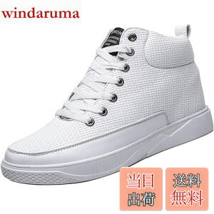 yz[ziitop] V[NbgV[YKp 6cm/8cmgAbv Y fB[X V[NbgXj[J[ nCJbgXj[J[ Y JWA jOV[Y X|[c y C 