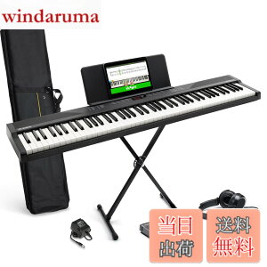 �y���������zAlesis �d�q�s�A�m 88���� Recital Play & Recital Black �F�F�A�N�Z�T���[�t���A�u���b�N�A�T�C�Y�F�A�N�Z�T���[�t��