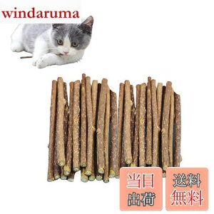 yzGOODCHI L_ } VR Y qL𚐂 얞 L̃N[jOXeBbN ރXeBbN 30{