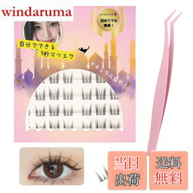 【送料無料】つけまつげ のり不要 【日本国内JIS基準検査済み】グルーなしつけまつげ グルー不要 つけまつ毛 3Dつけまつげ 接着剤不要 ブラック 1秒マツエク 部分つけまつげ 初心者 で簡単装着 立体感 可愛い 自然な束感 人気 耐久性が高い アイメー 色：02束感ドールeye