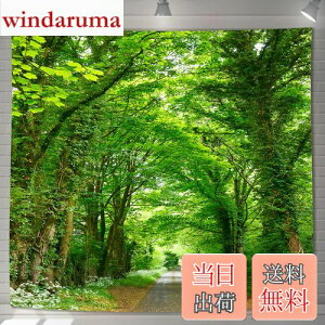 yzU-SITU ^yXg[ Ǌ| Ǐ ъԓH X  RiF IV wi @\ z|X^[ CeA ͋C]iTCYF180cm x 180cmjJ[FGT0794FC