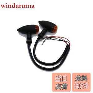 yzBeatus eی^ ~j ECJ[ lWa10mm oCN ėp JX^ p[c 12V 2Zbg LEDł͂܂ (ubN×Ao[ 2)