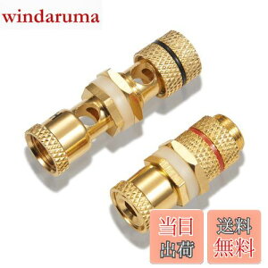 yzyoiivOp XXzby yWYVERN AUDIOz oiivO/pI v≏ X̃X WV-CHU-K 11 (21g)