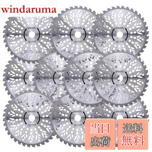 �y���������zSHUZIYU �����@�p�`�b�v�\�[ 230x36P 10���g