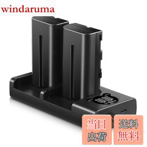 �y���������zENEGON Sony NP-F550/NP-F570�݊��o�b�e���[�i2�j2900mAh+USB�[�d�� �Ή�NP-F530/ NP-F550 /NP-F570/ NP-F330/ CCD-RV100/ RV200/ TR1 /TR940 /TR917 /CN-160 /CN-216 /CN-304 /YN 300 /V607u /V617u