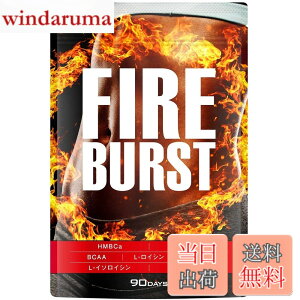�y���������z�yFIRE BURST�z L-�J���j�`�� BCAA�z�� �T�v�� ���I�f�� 90����