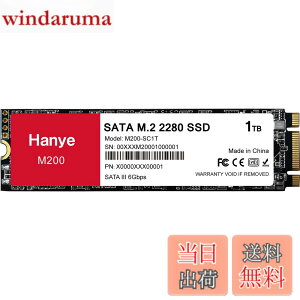 �y���������zHanye SSD 1TB ���� SATA M.2 2280 SATA III 6.0Gb/s M200 ���K�㗝�X�i ���[�J�[3�N