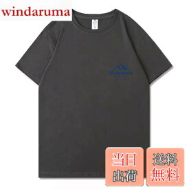【送料無料】[Collecala] Tシャツ メンズ 半袖 マウンテンプリント メンズトップス T-shirt GRY3xl
