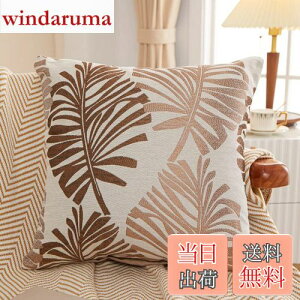 yzYunJeude NbVJo[ 45x45cm k 2Zbg Ȃƃl   t̕ WK[hD t@Xi[ CeA (45x45, R[q[)