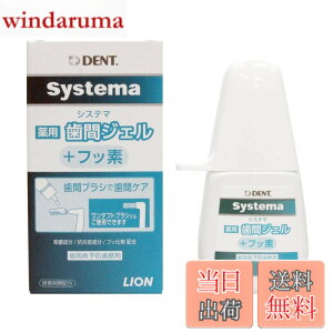 �y���������zLION ���C�I�����ȍ� DENT.EX �V�X�e�}��p���ԃW�F�� 20ml