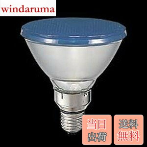 �y���������z�y���Łz �J���[�r�[�������v(��)100W�` E26���� �U���` BRF110V80WY