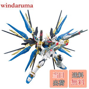 �y���������zRG �@����m�K���_��SEED DESTINY ZGMF-X20A �X�g���C�N�t���[�_���K���_�� 1/144�X�P�[�� �F�����ς݃v�����f��