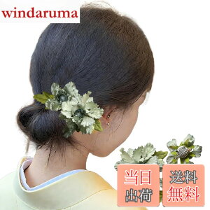 �y���������zGFun ������ �w�A�A�N�Z�T���[ �� �N���b�v 3�Z�b�g ���� �ԉΑ�� ������ �a�� ���l�� ���Ǝ� ������ ���\�� �m�� �F�F���C�g�O���[��
