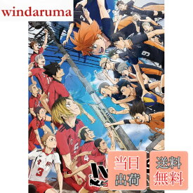 【送料無料】『劇場版ハイキュー!! ゴミ捨て場の決戦』 通常版 [DVD]
