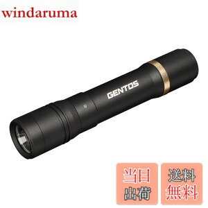 �y���������zGENTOS(�W�F���g�X) �����d�� LED���C�g �[�d�� 200~900���[���� ���N�V�[�h RX-285R/RX-286R/RX-304R/RX-386R/RX-486PB �F�F�u���b�N�A�T�C�Y�F���a30.1x150.4mm