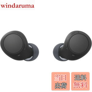 �y���������z�\�j�[(SONY) ���S���C�����X�C���z�� WF-C500/WF-C510 :/�����x�ʘb�i��/IPX4�h�H���\ �F�F�u���b�N�A�T�C�Y�F���^�y��