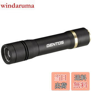 �y���������zGENTOS(�W�F���g�X) �����d�� LED���C�g �[�d�� 200~900���[���� ���N�V�[�h RX-285R/RX-286R/RX-304R/RX-386R/RX-486PB �F�F�u���b�N�A�T�C�Y�F���a29.5x141.8mm