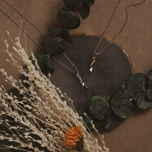 y1,000~|bLzI T[WJXeX lbNX ςȂ AM[Ή@WRjA CZ@cCXg@˂@l@i