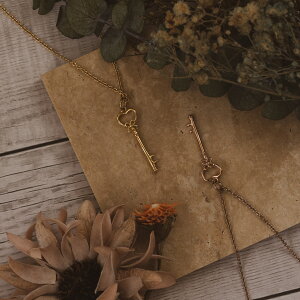 y1,000~|bLzI T[WJXeX lbNX ςȂ AM[Ή n[g@@L[@ԁ@t[