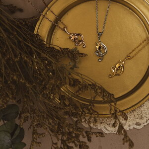 y1,000~|bLzI T[WJXeX lbNX ςȂ AM[Ή 񂲁@gL@y