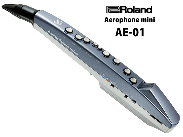 Roland ローランド Aerophone mini エアロフォン ミニ AE-01 【送料無料】【P10】 | サックス専門店ウインドブロス