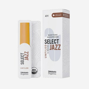 D'Addario Woodwinds (RICO) sdF4HtogTbNXp[h __IEEbhECY I[KjbNEZNgEWY At@ChJbgJbg TbNXpANZT [h