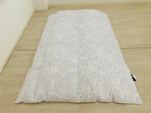 ����H�тӂƂ�