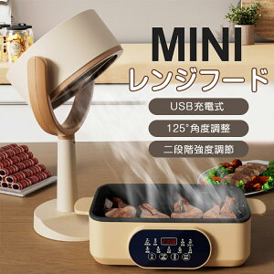 yuԋzzWt[h ヌWt[h z@ ~j|[^uC tB^[ J[{ 3000mAH USB[d 125°߉\ 􂢉 ᑛ  RpNg ȒP