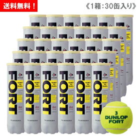 楽天市場 テニスボールの通販